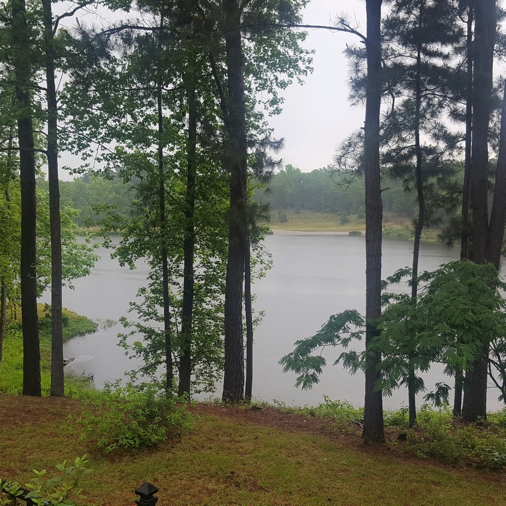 Meet your Posher, Dawn